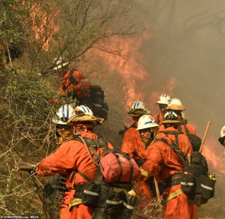 Tính đến nay đã có 31 người trong toàn bang California thiệt mạng trong vụ cháy rừng, 228 người mất tích và 8.000 lính cứu hỏa vẫn đang 