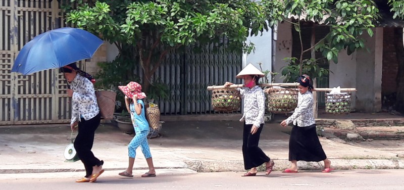 Giống xoài tròn Yên Châu đã gắn bó với bà con người Thái từ nhiều đời nay. Hầu như bà con người Thái nào sống ở đất Yên Châu cũng có vài cây xoài tròn. Bà con cho rằng, đây là món quà mà Giàng đã ban tặng cho đất này. 