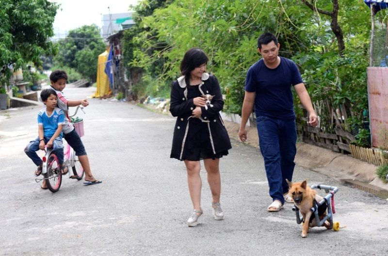 Trước khi tìm được chỗ ở ổn định vầy nhóm đã phải chuyển 3,4 lần ở các địa điểm khác, có chỗ chủ nhà đánh đuổi mấy chú chó ra đường trong đêm thế là cả người lẫn chó mèo lên xe ba gác chạy khắp Sài Gòn để tìm chỗ ở mới.
