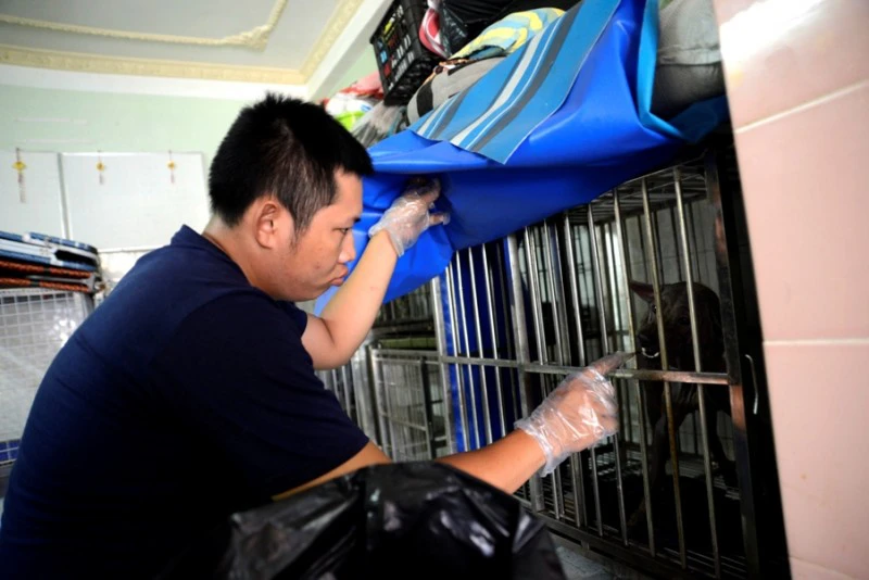 Anh Nguyễn Quốc Khánh đảm nhận việc lau chùi sàn nhà để căn nhà được sạch sẽ không gây nhiễm trùng vết thương cho các chú chó.