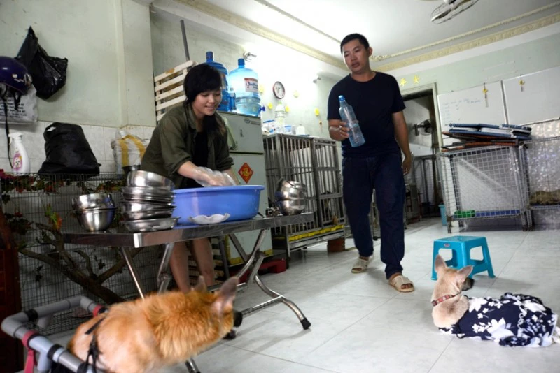 Căn nhà nằm sâu trong hẻm nhỏ trên quốc lộ 50 (huyện Bình Chánh, TP.HCM) là nơi Trần Uyên Như cùng người bạn của mình nhận nuôi dưỡng cho hơn 50 chú chó mèo bị bỏ rơi, bệnh tật. 