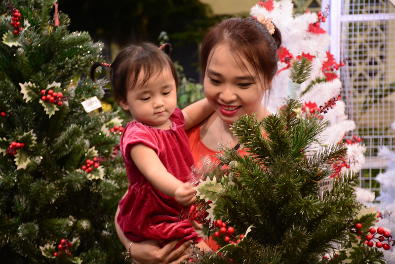 Một sản phẩm không thể thiếu trong dịp Giáng sinh là cây thông. Thông Noel ở đây có nhiều kích cỡ, màu sắc khác nhau với giá bán từ vài trăm ngàn đồng đến khoảng 1,5 triệu đồng/cây.