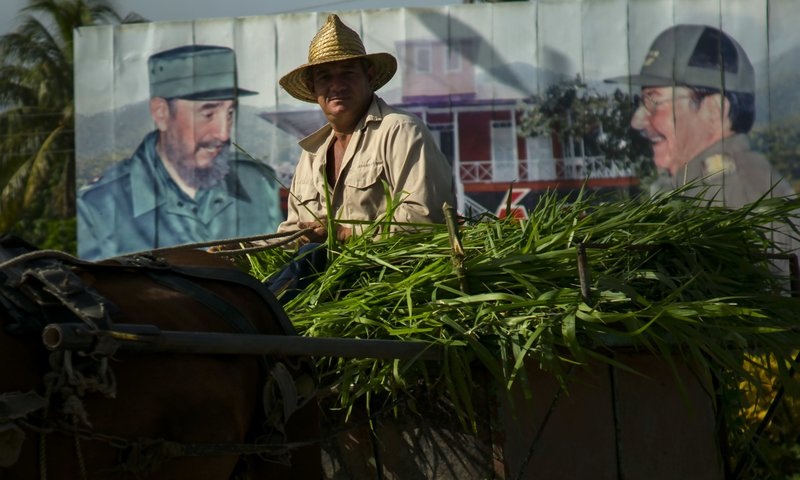 Kỷ lục về ‘thú cưng’: Thú cưng của lãnh tụ Fidel Catro là một con bò có tên Ubre Blanca hay White Udder. Đây là con bò nổi tiếng với khả năng sản xuất lượng sữa phi thường lên tới 110 lít/ngày và nó đã được ghi danh vào Sách kỷ lục Guinness. Ubre trở thành biểu tượng tuyên truyền trong các hợp tác xã tại Cuba những năm 1980. 