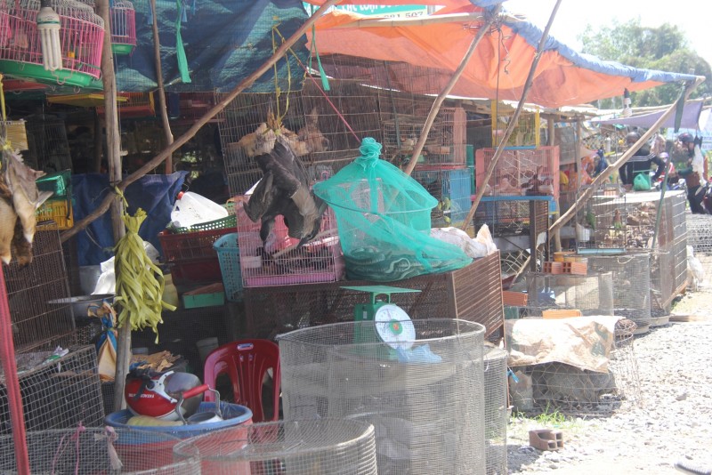 Nằm trên tuyến Quốc lộ 62, đoạn qua huyện Thạnh Hóa, Long An, khu chợ dựng tạm bợ bằng những lều nhỏ này được mọi người biết đến là chợ chim lớn nhất miền Tây, luôn tấp nập người mua từ nhiều năm nay.   