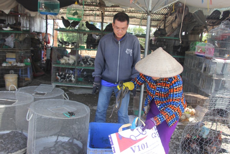 Chị Nguyễn Thị Bé (một chủ cửa hàng) mời chào: “Các loại chim ở đây là giá rẻ nhất rồi, được người dân địa phương đi săn bắt rồi về bán lại cho các cửa hàng. Khách mua chủ yếu là dân du lịch từ thành phố xuống, có người mua một lần cả mấy ký chim để về nhậu. Chị bán ở đây giá cả rất rẻ, lại còn có dịch vụ làm tại chỗ nữa”.