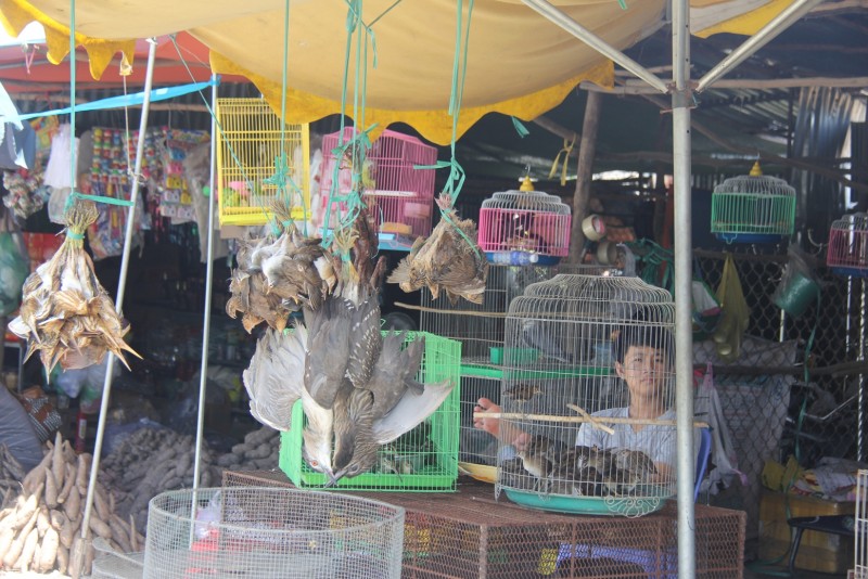 Việc mua bán các loại chim thú khiến cho một số loại bị săn bắt triệt để, có nguy cơ dẫn đến tuyệt chủng và dịch bệnh. Đồng thời, khu chợ diễn ra trên tuyến quốc lộ chính khiến việc mua bán trở nên ồn ào, mất thẩm mỹ, gây phản cảm với người dân.