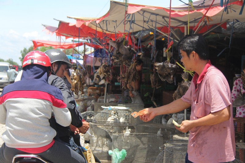 Hiện khu chợ có hơn 20 hộ chuyên kinh doanh, buôn bán các loại chim trời đặc sản miền Tây. Trung bình mỗi hộ thu nhập hơn 1 triệu đồng mỗi ngày tùy theo số lượng khách ghé mua. 