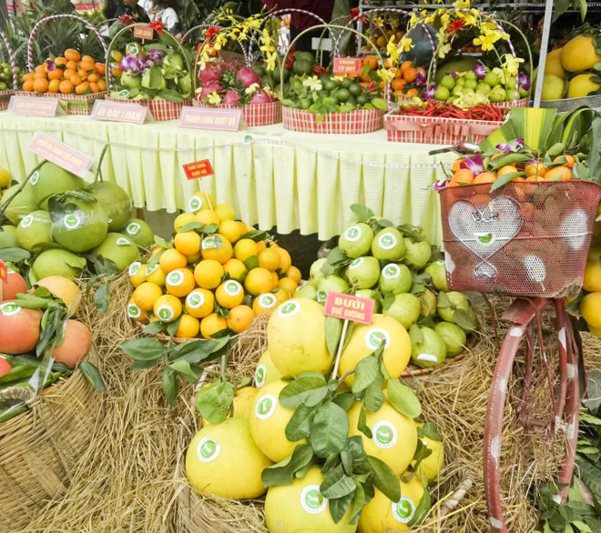 Hội chợ còn góp phần quảng bá, thu hút du khách để phát triển du lịch sinh thái; thu hút đầu tư vào lĩnh vực nông nghiệp - nông thôn - du lịch; từng bước xây dựng chuỗi giá trị bền vững cho cây ăn quả và sản phẩm chủ lực của huyện.