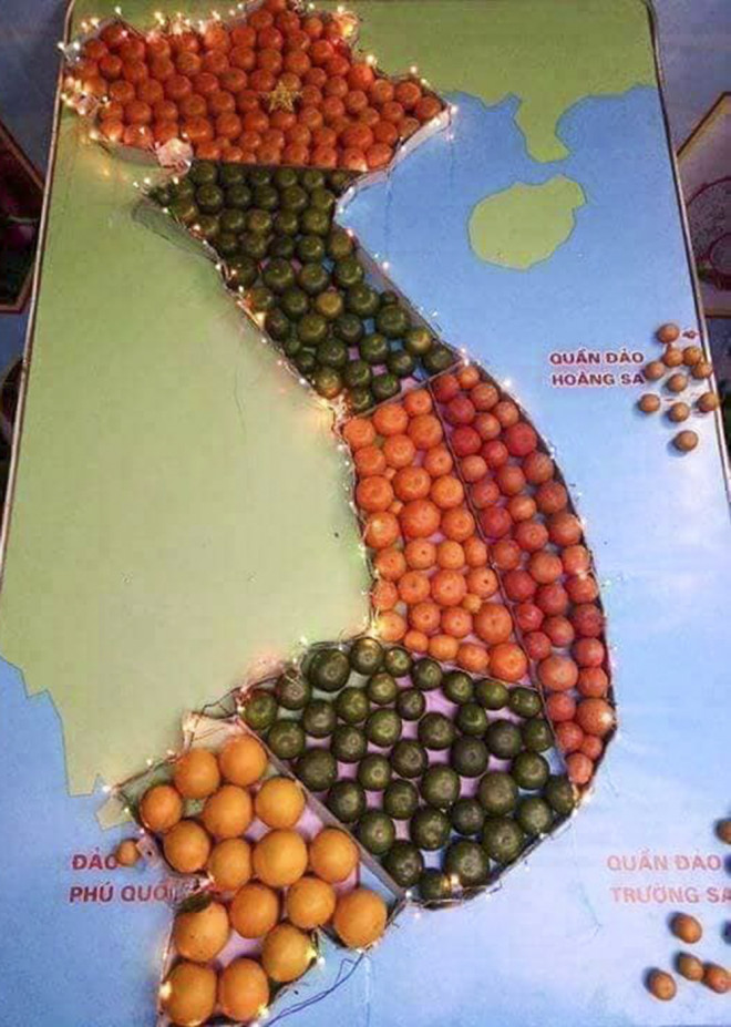 Bên cạnh đó còn có nhiều tác phẩm mang ý nghĩa như: bản đồ Việt Nam, quần đảo Hoàng Sa - Trường Sa do các xã làm từ trái cây. 