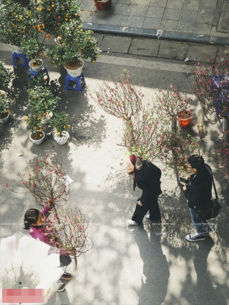 Chợ hoa kéo dài qua các phố Hàng Lược, Hàng Chai, Hàng Rươi, thậm chí còn kéo dài ra đến cả các tuyến phố Hàng Mã, Hàng Đồng và một vài tuyến phố khác trong khu phố cổ Hà Nội.
