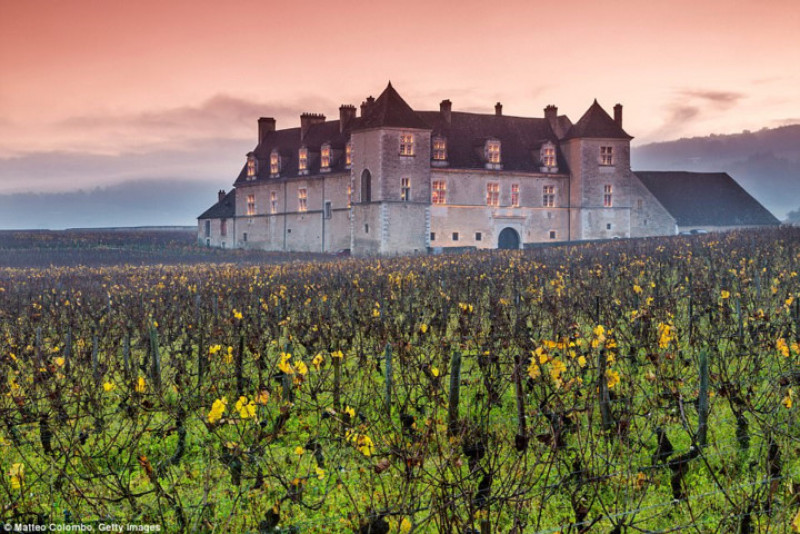Pháp. Lâu đài Vougeot trong một khung cảnh đầy màu sắc bên ngoài một vườn nho ở Burgundy, Pháp với nhiệt độ mát mẻ. Mùa thu cũng là mùa rượu vang, với những vụ mùa nho đang diễn ra trên khắp đất nước. Hãy viếng thăm thành phố Bordeaux, nơi có những ví dụ điển hình về kiến trúc cổ điển.