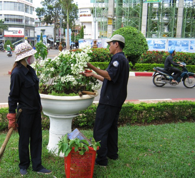 Với chủ trương cắt giảm chi phí chăm sóc, cắt tỉa vườn hoa, thảm cỏ, TP. Hà Nội dự tính sẽ tiết kiệm được 700 tỷ đồng mỗi năm.