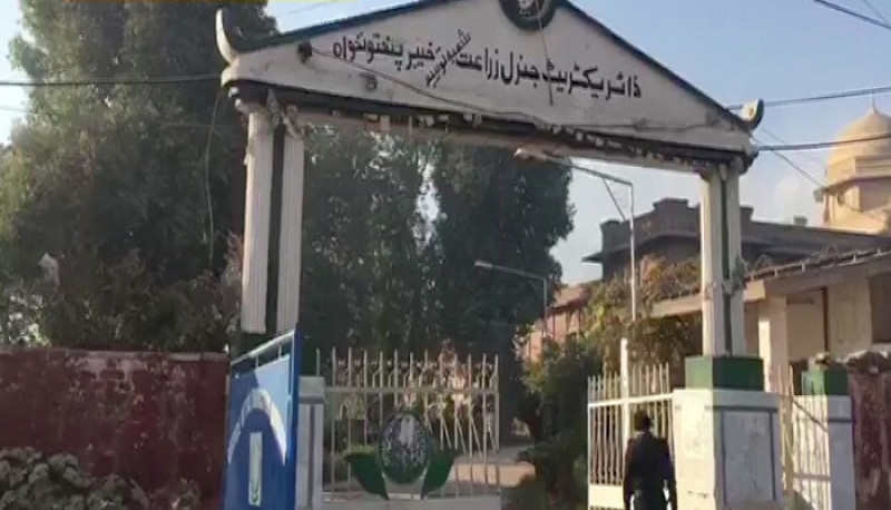 Ông Tahir Khan, cảnh sát trưởng thành phố Peshawar cho biết 4 tay súng Taliban đã cải trang bằng hình thức trùm đầu như phụ nữ Hồi giáo và lẻn vào khuôn viên trường đại học trên những chiếc xe kéo. Vụ tấn công đã khiến ít nhất 9 người thiệt mạng và 35 người bị thương.