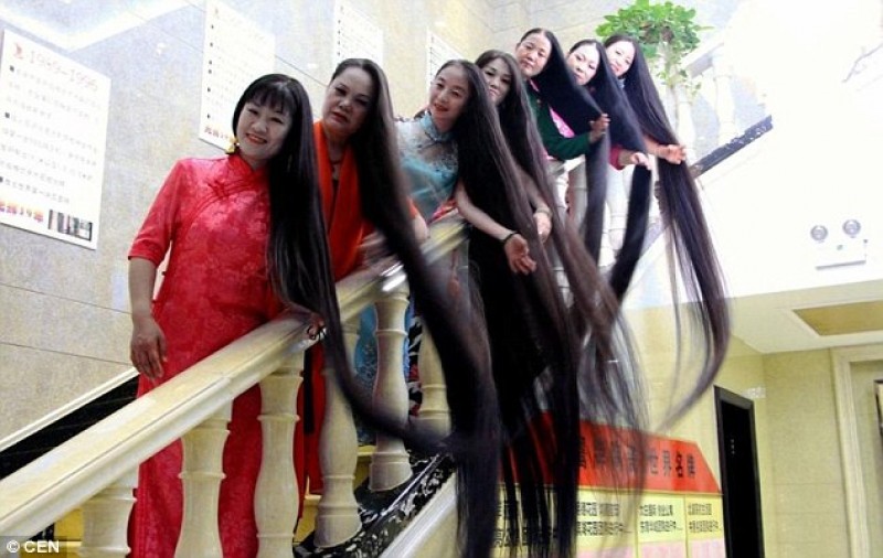 Nhóm phụ nữ tóc dài có tên “Mái tóc trải nghìn cây số” đến từ Hồ Bắc, Sơn Đông, Quảng Tây, Sơn Tây, Hà Nam, Cát Lâm và Bắc Kinh (Trung Quốc) đã nuôi tóc suốt 20 năm và bộ tóc dài nhất lên tới 3,5m.