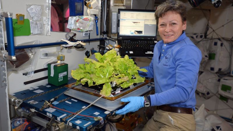 Trong sứ mệnh trên ISS, với chuyên môn là một nhà sinh vật học, bà Whitson đã dành phần lớn thời gian để tiến hành các thí nghiệm, bao gồm nghiên cứu mô ung thư phổi, tế bào xương, tế bào máu. Trên trang Facebook của mình, nữ phi hành gia Mỹ cũng cho biết bà đã thí nghiệm trồng cải bắp và trong số mong muốn đầu tiên của mình khi trở về mặt đất là ăn ngay thứ mình đã trồng. 