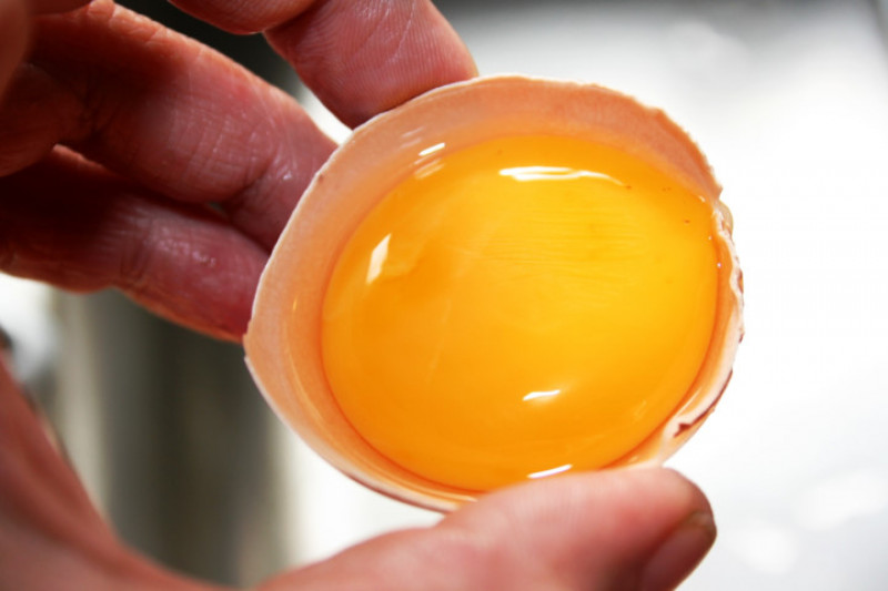 Trứng: Lòng trắng trứng có thể cung cấp cho bạn nhiều protein và cũng là một nguồn năng lượng tuyệt vời. Trứng cũng có thể là thức ăn lành mạnh để ăn vào đầu ngày. Đây là một trong những thực phẩm hàng đầu trước khi tập luyện.