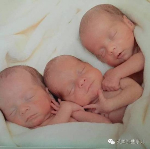 Ba bé trai được sinh ra vô cùng dễ thương, giống nhau như đúc. 