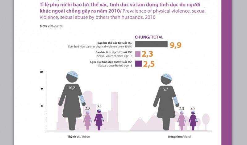 Chỉ có 12,9% phụ nữ khai báo là bị bạo lực do người khác ngoài chồng gây ra. Tuy nhiên thủ phạm chính vẫn là các thành viên trong gia đình như bố, mẹ, anh, em. Bạo lực gia đình gây ra những tổn thương về thể xác, tinh thần và thiệt hại về kinh tế đối với các nạn nhân; đồng thời gây áp lực lên hệ thống dịch vụ y tế. 