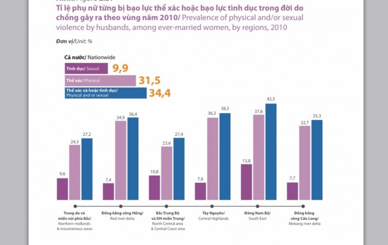 Theo Nghiên cứu quốc gia về bạo lực gia đình đối với phụ nữ tại Việt Nam năm 2010, tình trạng bạo lực gia đình xảy ra ở khắp các vùng miền. Trong đó, tỷ lệ cao hơn là ở Đông Nam bộ, Tây Nguyên, Đồng bằng Sông Hồng.