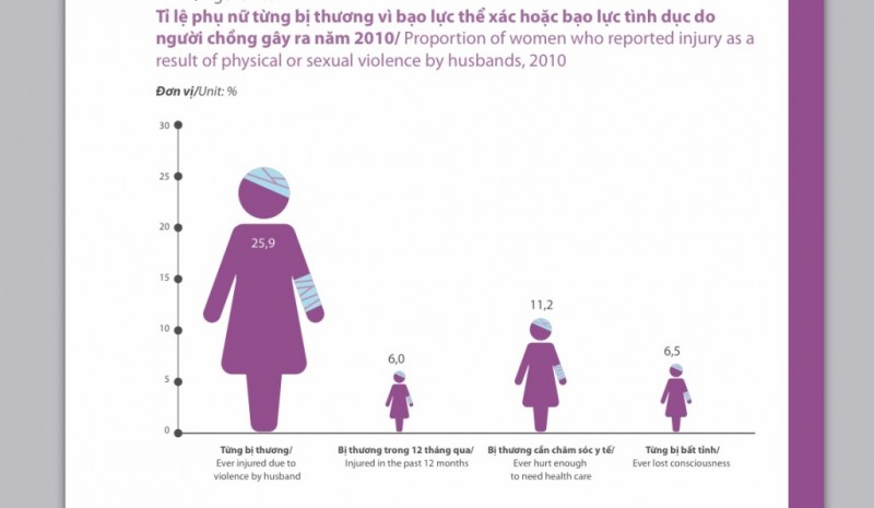 Cứ 3 phụ nữ Việt Nam thì có 1 người khai báo từng bị bạo lực thể xác hoặc tình dục do chồng gây ra. Có đến 25,9% nạn nhân từng bị thương do bạo lực thể xác hoặc tình dục từ chồng mình trong cuộc đời, trong đó hơn 11,2% bị thương cần chăm sóc y tế. 
