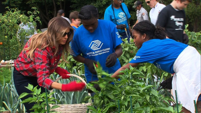 Ngày 22/9, Đệ nhất phu nhân Mỹ Melania Trump đã có mặt trong khu vườn rau quả của Nhà Trắng tại thủ đô Washington cùng các em nhỏ đến từ câu lạc bộ 