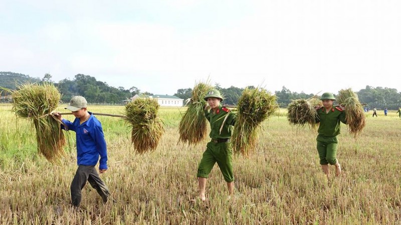 Những đôi vai của sức trẻ cùng chia sẻ với nhân dân là hình ảnh đẹp trong mắt bà con nơi đây. 