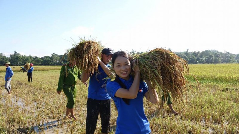 20 chiến sĩ công an cùng các cán bộ đoàn huyện Hương Sơn đã nhất tề cùng nhau xuống đồng gặt lúa ở xã Sơn Hàm. Không khí lao động thật khẩn trương khi sức trẻ cùng nhau đoàn kết giúp bà con thu trọn vẹn mùa lúa bội thu. 