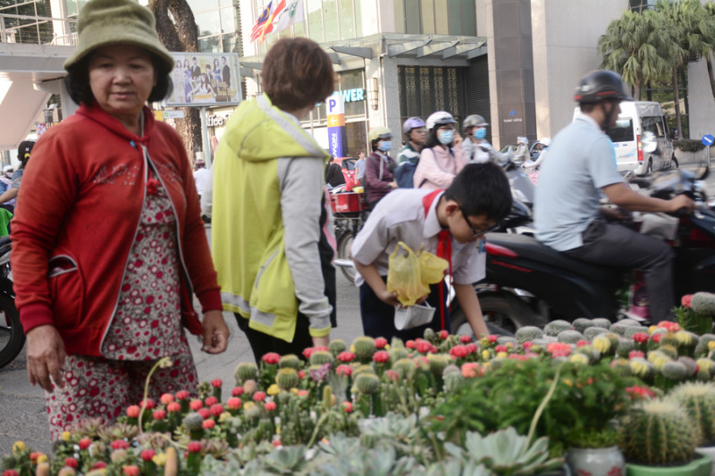 Bên cạnh hoa tươi, nhiều người lựa mua một chậu xương rồng với giá từ 50.000 - 150.000 đồng/chậu để làm quà tặng.