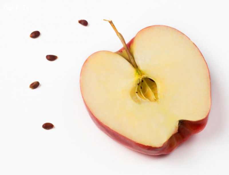 Theo Business insider, hạt của táo và lê có khả năng chuyển thành chất độc xyanua khi bị nghiền nát. Mỗi cân hạt táo/lê chứa khoảng 700 miligram hydrogen cyanide. Nếu ăn liên tục 25 lõi táo hoặc lê, có thể tử vong do ngộ độc xyanua.