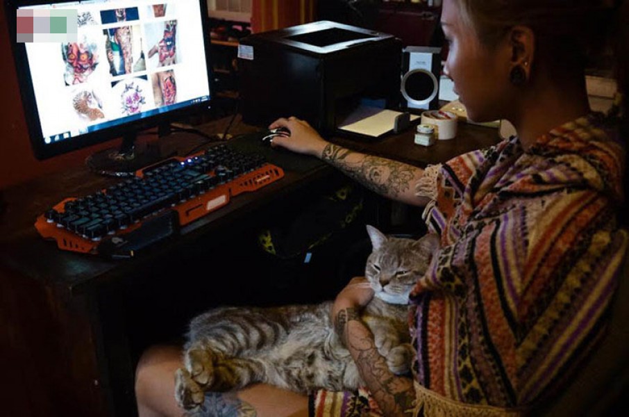 Nữ thợ xăm này quấn quít với những chú mèo trong khi tham khảo các mẫu xăm trên mạng.