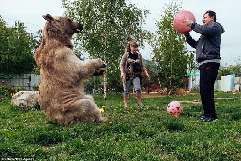 Họ cũng nói thêm rằng gấu Stepan rất hòa đồng và dễ gần, chưa bao giờ cắn họ và thích nhất là được ôm.