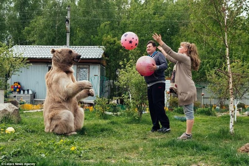 Gấu thích bóng đá nên cũng rất thích vận động.
