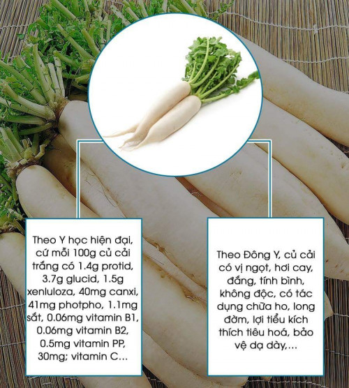 Củ cải trắng còn được gọi là sâm trắng, sâm mùa đông, bởi nhiều tác dụng có lợi cho sức khỏe. 