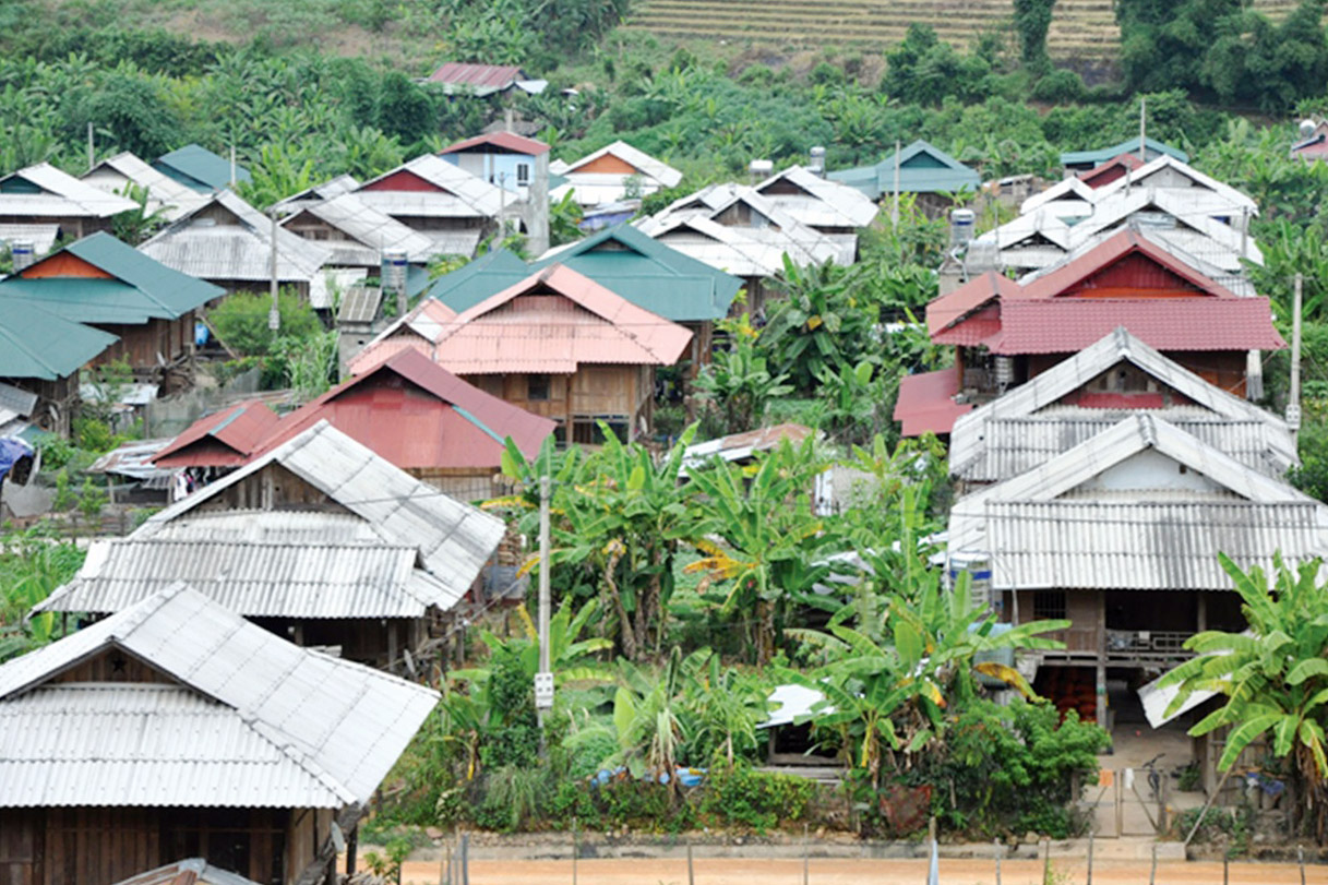 baodantoc_amiang.jpg