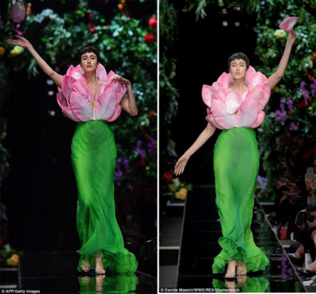 Người mẫu Anna Cleveland sải những bước đi uyển chuyển trong bộ váy được lấy cảm hứng từ những đoá sen mềm mại.
