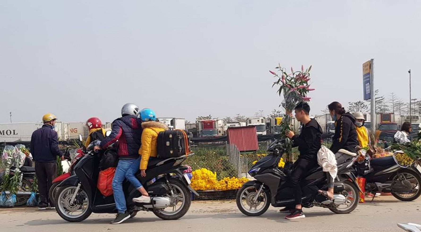 Với mức giá rẻ hơn nhiều so với hoa bán tạ nội thành Hà Nội, nên Mê Linh là địa chỉ được nhiều người yêu hoa chọn mua vào mỗi dịp Tết. 