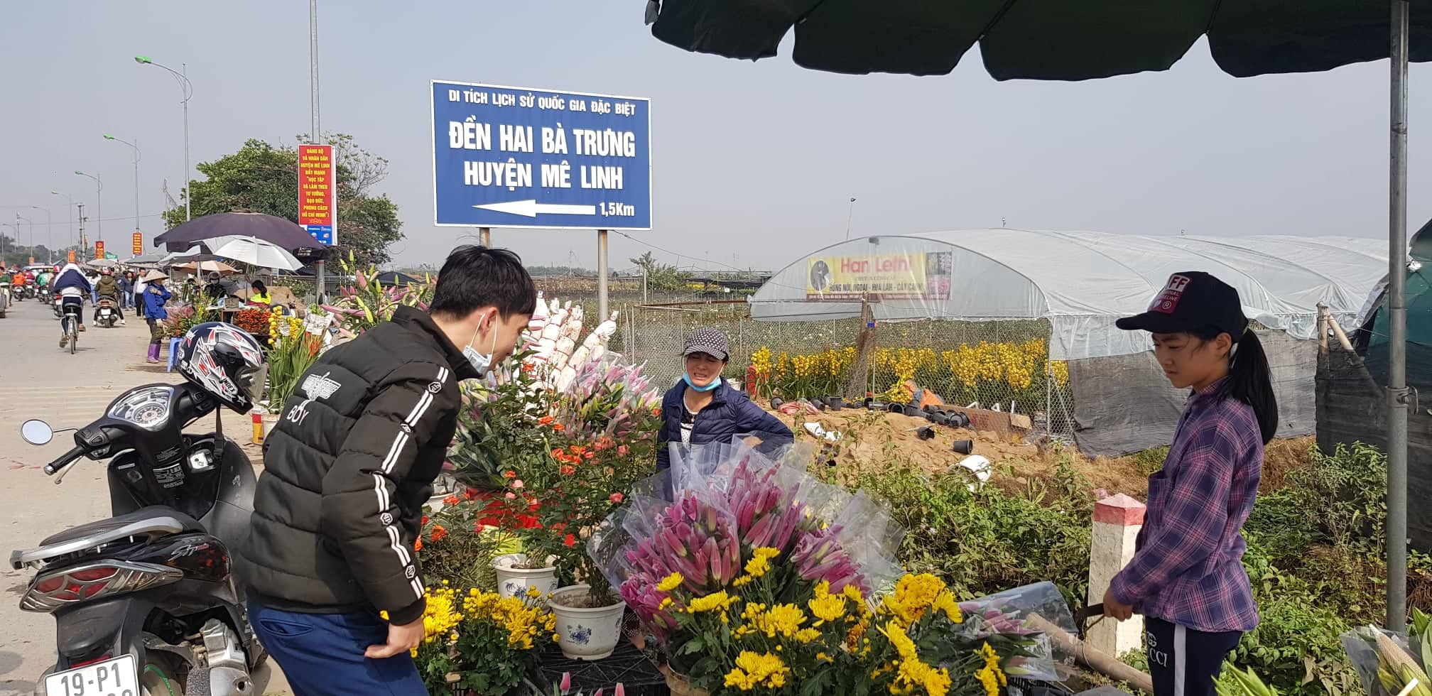 Nằm cách Hà Nội hơn 20km, huyện Mê Linh – một trong những thủ phủ hoa tươi lớn nhất Hà Nội là điểm đến của nhiều người dân thủ đô và các tỉnh lân cận trong những ngày cận Tết. 
