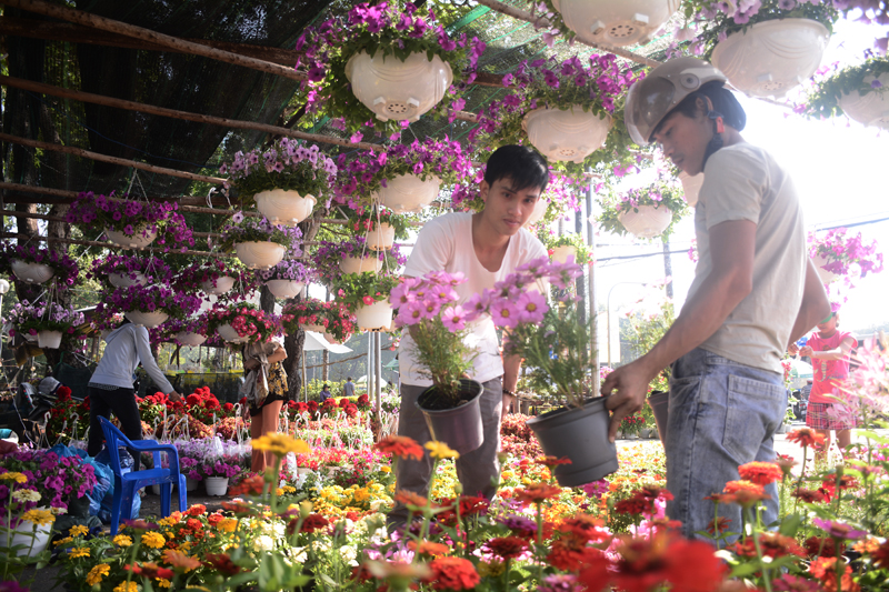 Ngày 12/2 (nhằm ngày 27 tháng Chạp), chợ hoa công viên Gia Định (nằm trên địa bàn Q.Gò Vấp và Q.Phú Nhuận) một trong những chợ hoa tết lớn nhất ở Sài Gòn vô cùng nhộn nhịp.