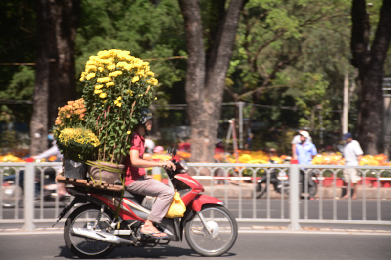 Không khí Xuân đã tràn ngập khắp các con đường ở Sài Gòn.