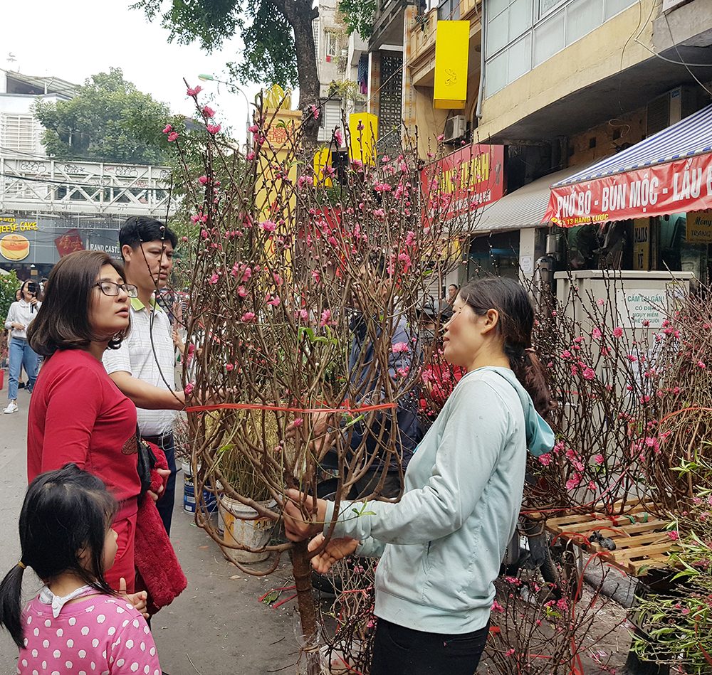 Được giá nhất vẫn là hoa đào. Năm nay, theo người bán, do thời tiết trước Tết nắng ấm nên hoa đào nở sớm, các cành đào Nhật Tân dáng đẹp, đủ nụ, hoa, lá lộc bị 