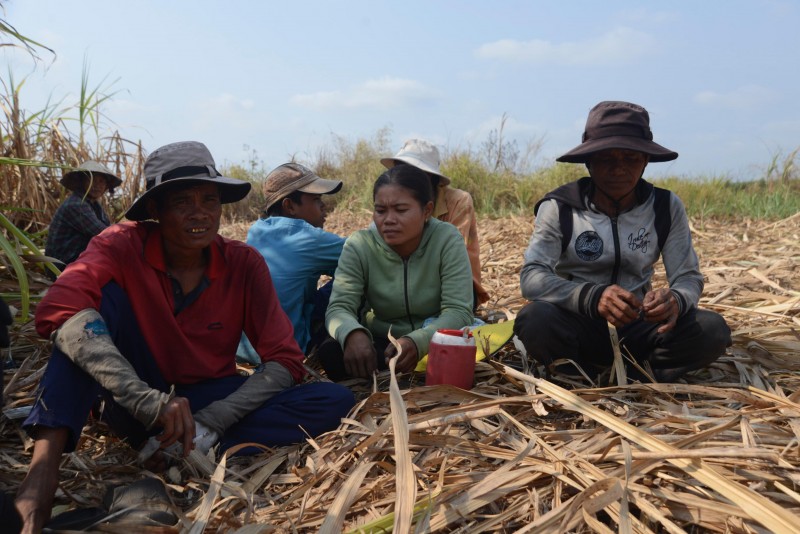 Đó là câu chuyện của xóm lao động nghèo tại xã Đông Hòa, huyện Trảng Bom, tỉnh Đồng Nai. Họ đa phần là người dân ở các tỉnh miền Tây, vì cuộc sống khó khăn phải rời bỏ quê hương lên đây để làm thuê, cuốc mướn.