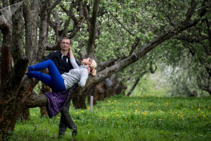 Cặp đôi tạo dàng chụp ảnh thân mật trong một vườn táo của công viên khi thời tiết đã ấm lên nhiều so với mùa đông.