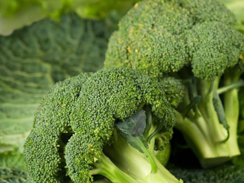 Bông cải xanh chứa nhiều vitamin C, chất xơ và sắt. Nó giúp cho các cơ quan trong cơ thể hoạt động đúng đắn và kích thích các yếu tố tăng trưởng.
