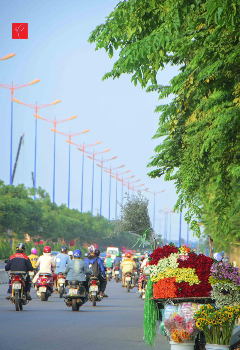 Một xe bán hoa dưới chân cầu Sài Gòn làm cho tuyến đường thêm sắc màu