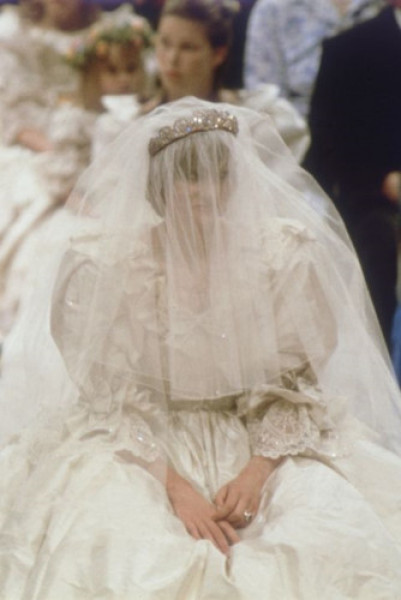 Chiếc váy có một vết bẩn nhỏ do Diana làm đổ một chút nước hoa lên đó.  Người trang điểm Barbara Daly đã tiết lộ điều này trong cuốn Diana: The Portrait.