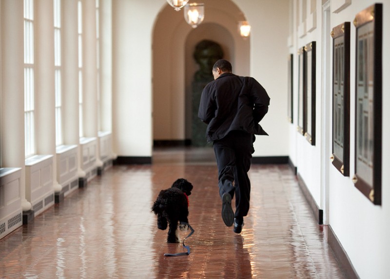 Tổng thống tập chạy cùng chú chó Bo.