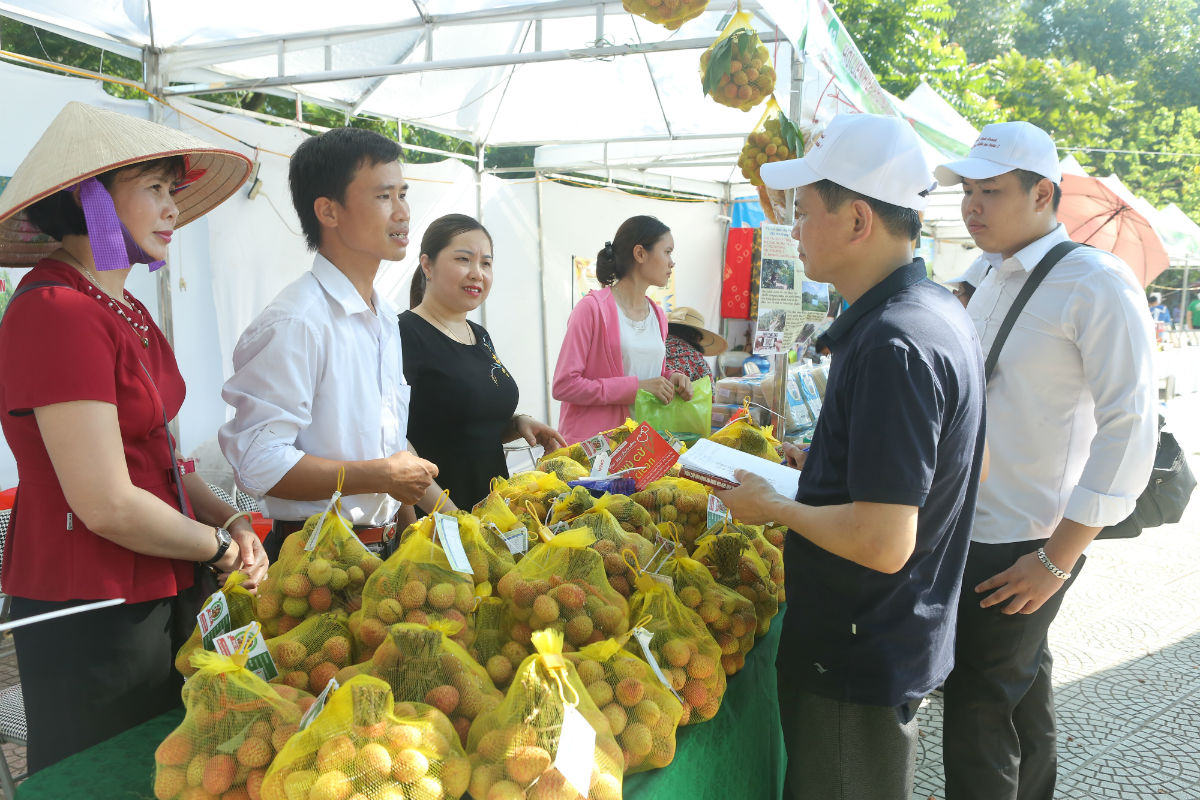 Sản phẩm Vải sớm Phúc Hòa được chuyển từ Bắc Giang xuống Thủ đô.