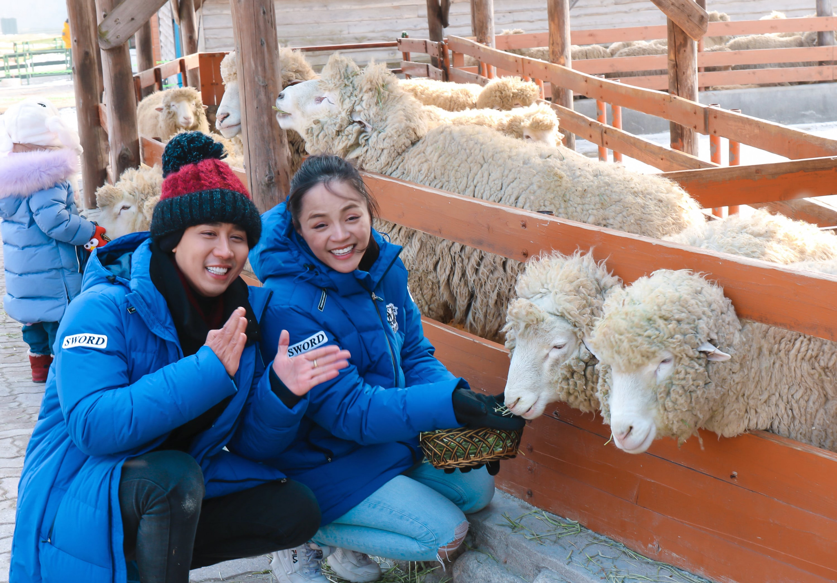 Nguyên Khang và Thu Quỳnh thăm Nông trại cừu Deagwallyeong. Đây là nông trại duy nhất ở Hàn Quốc chỉ nuôi cừu, nằm trên ngọn đồi cao 850 - 900m so với mực nước biển.