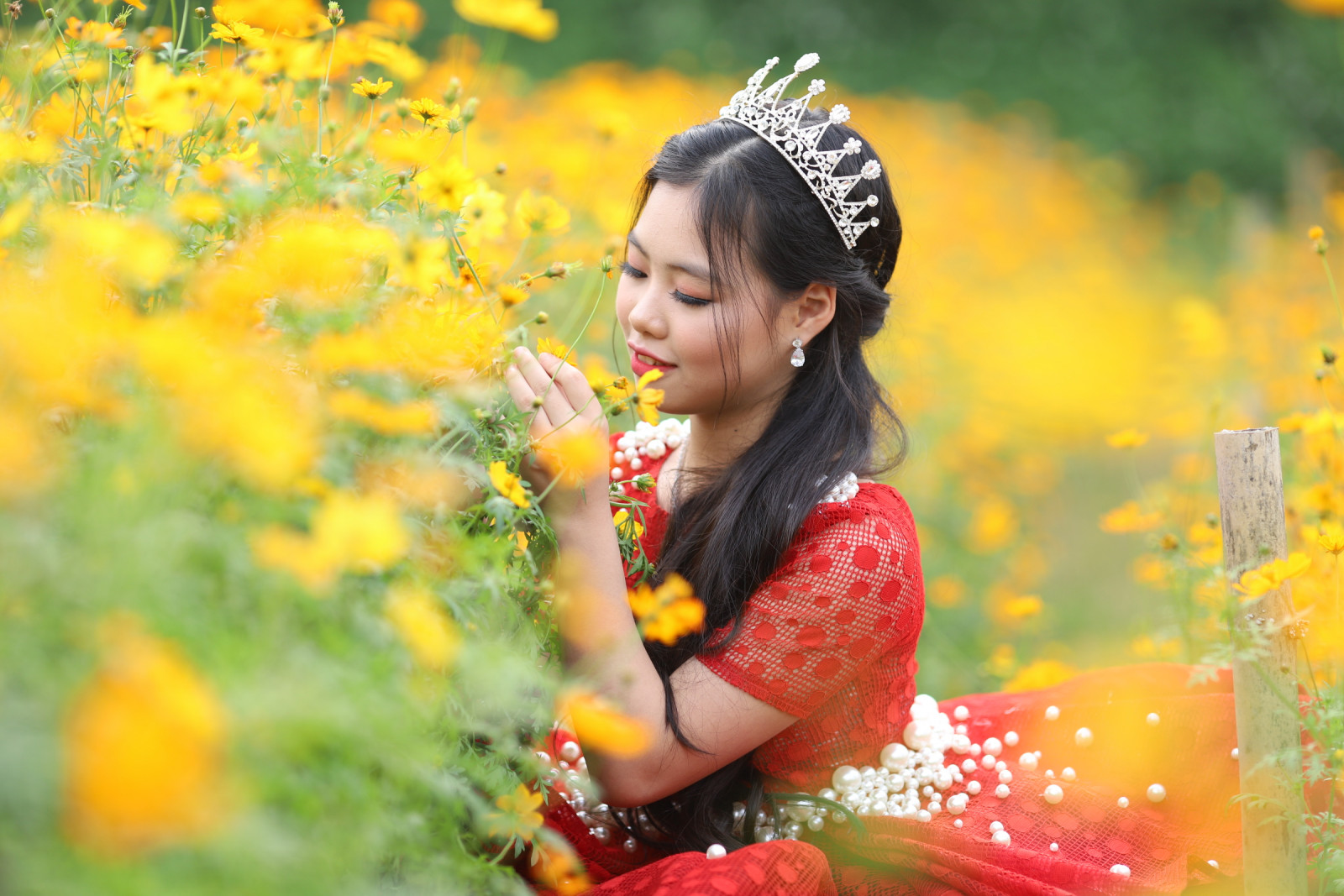 Với chiếc váy công chúa màu đỏ rực rỡ, nụ cười dịu dàng. Bảo Chi nổi bật và xinh đẹp giữa cánh đồng hoa. 