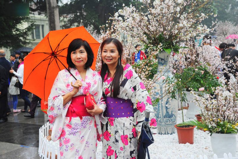 Mặc dù trời Hà Nội sáng nay có mưa phùn nhẹ, nhưng người dân vẫn nô nức, xúng xính áo quần để ngắm và chụp ảnh với hoa anh đào được mang về từ Nhật Bản.